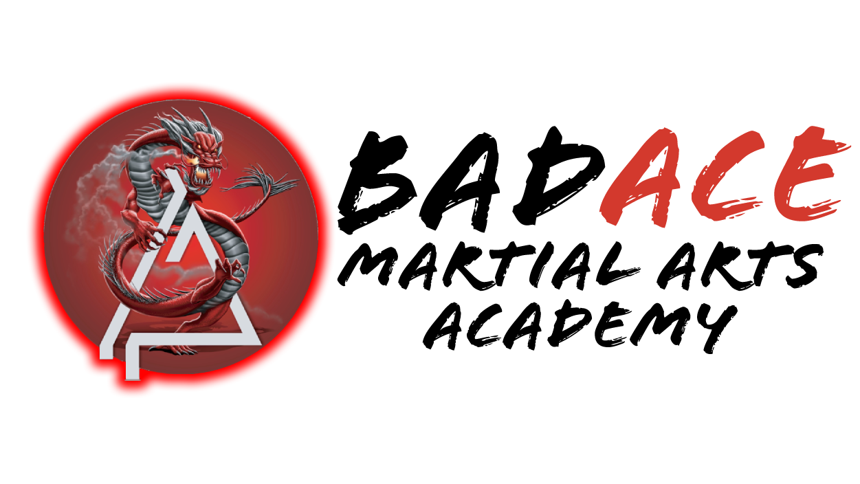 Bad Ace Martial Arts facility image